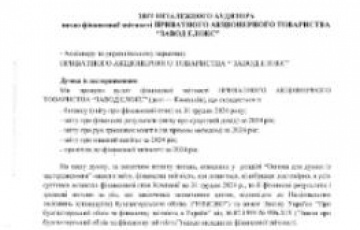 Аудиторський висновок за 2024 р.